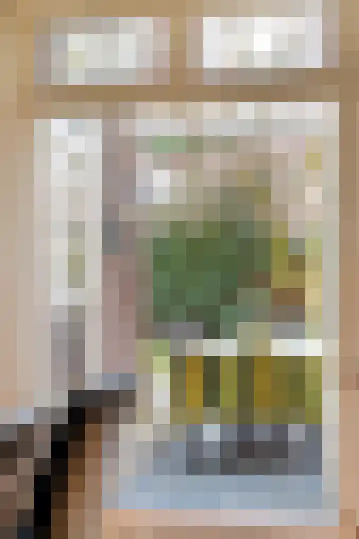 Heezerweg 242 Eindhoven thumbnail 18