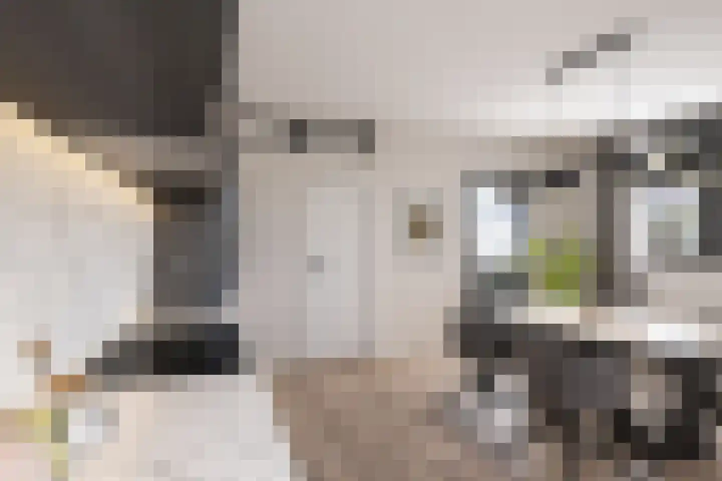 Heezerweg 242 Eindhoven thumbnail 24