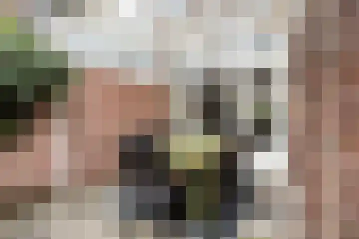 Heezerweg 242 Eindhoven thumbnail 33