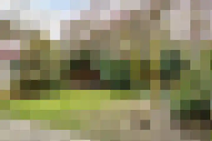 Heezerweg 242 Eindhoven thumbnail 34