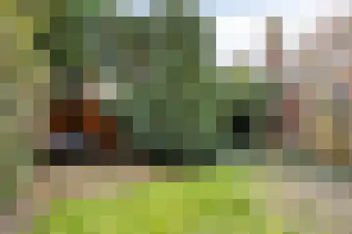 Heezerweg 242 Eindhoven thumbnail 35