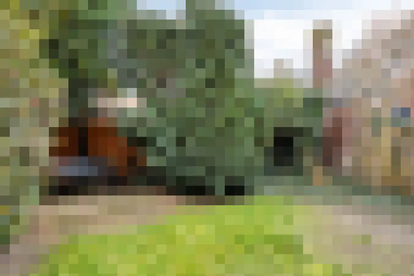 Heezerweg 242 Eindhoven thumbnail 37