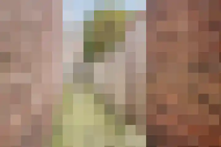 Heezerweg 242 Eindhoven thumbnail 39