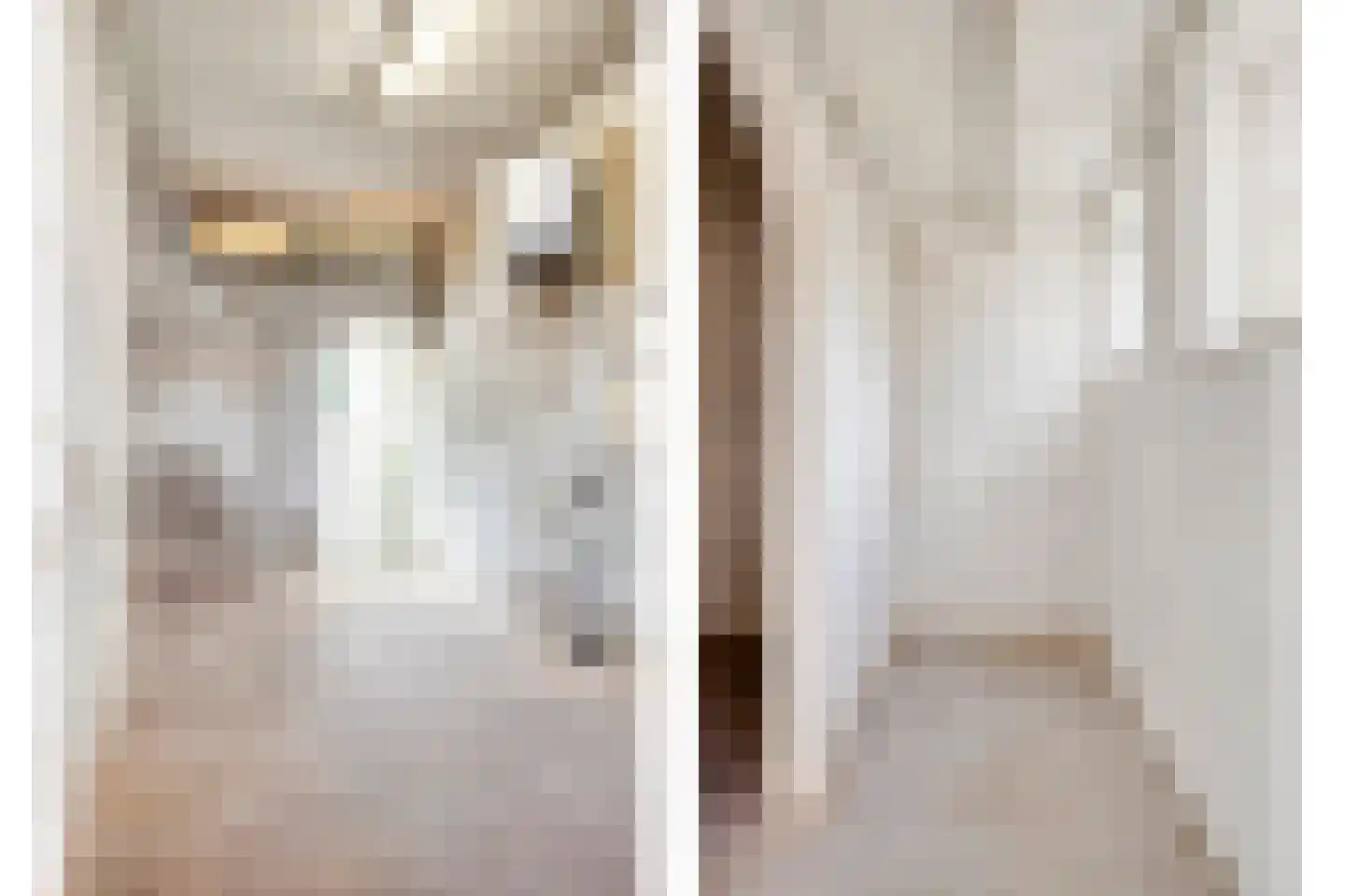 Heezerweg 242 Eindhoven thumbnail 42
