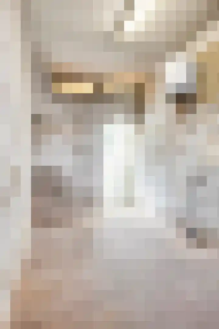 Heezerweg 242 Eindhoven thumbnail 42