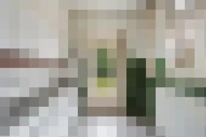 Heezerweg 242 Eindhoven thumbnail 5