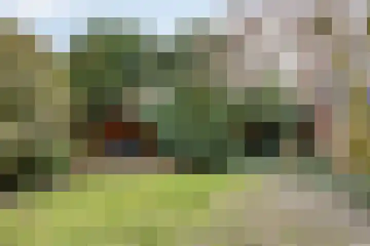Heezerweg 242 Eindhoven thumbnail 7
