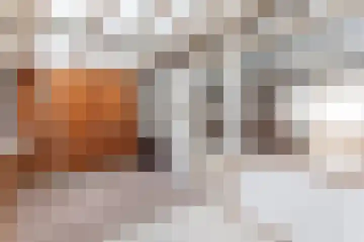 Heezerweg 257 Eindhoven thumbnail 12