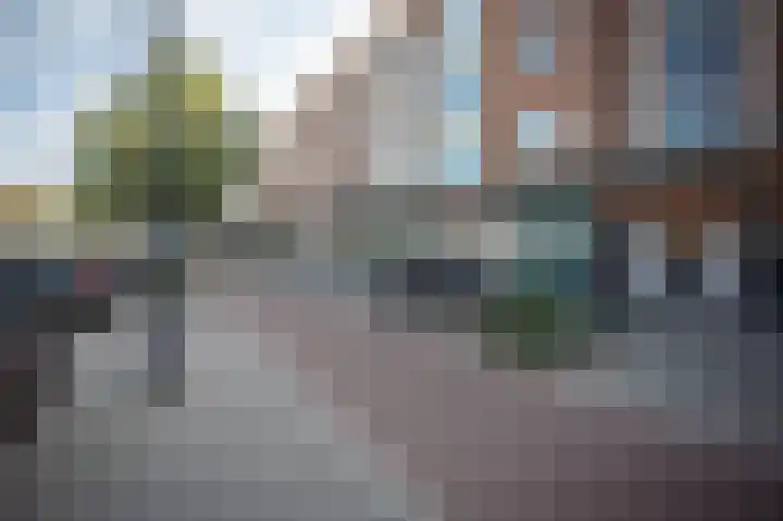 Heezerweg 257 Eindhoven thumbnail 36