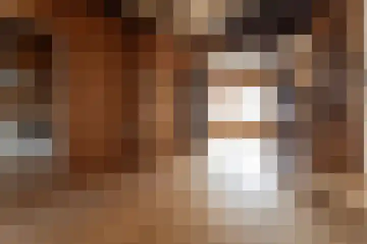 Heezerweg 257 Eindhoven thumbnail 4