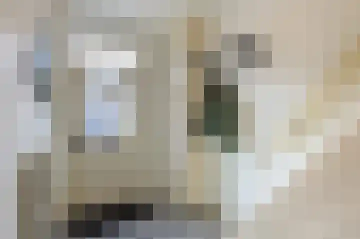 Heezerweg 261 Eindhoven thumbnail 8