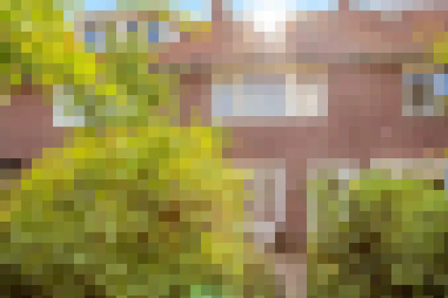 Heezerweg 275 Eindhoven thumbnail 29