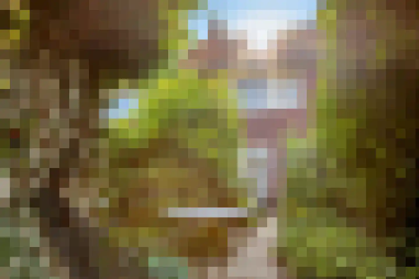 Heezerweg 275 Eindhoven thumbnail 32
