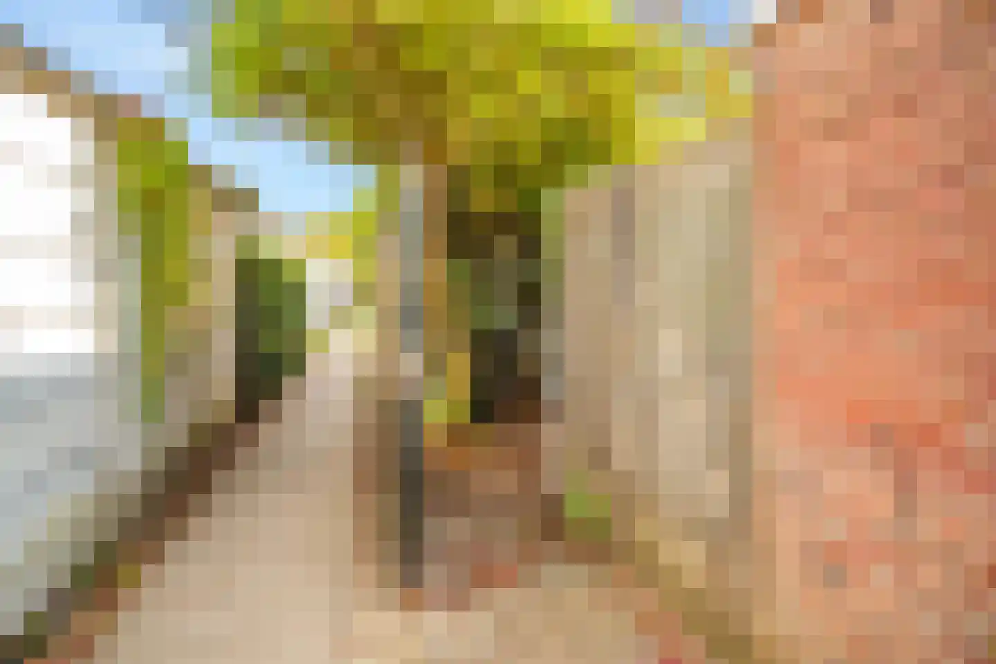 Heezerweg 275 Eindhoven thumbnail 33