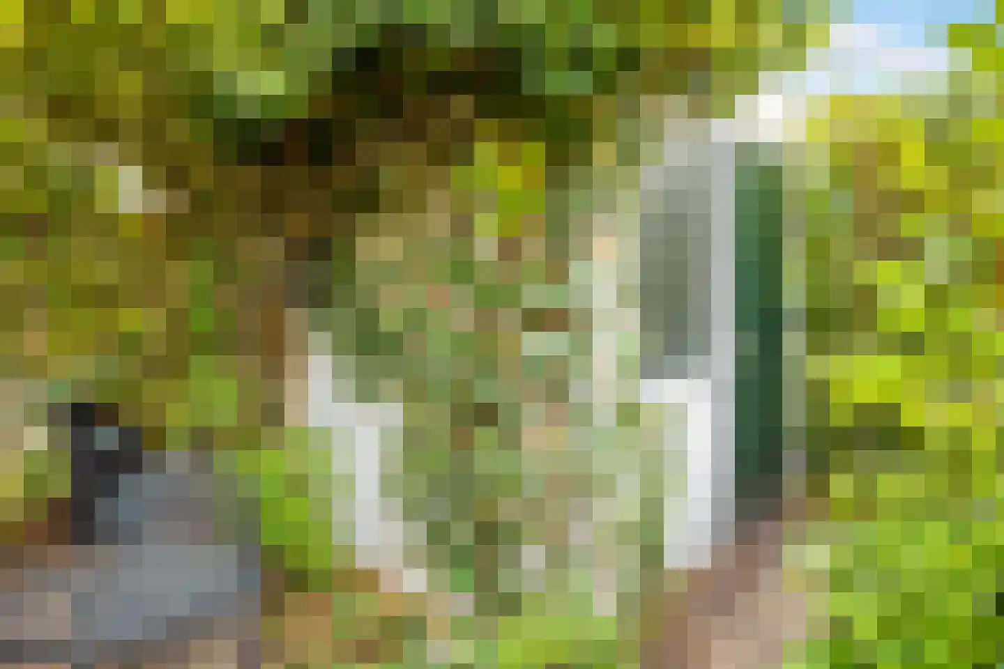 Heezerweg 275 Eindhoven thumbnail 34