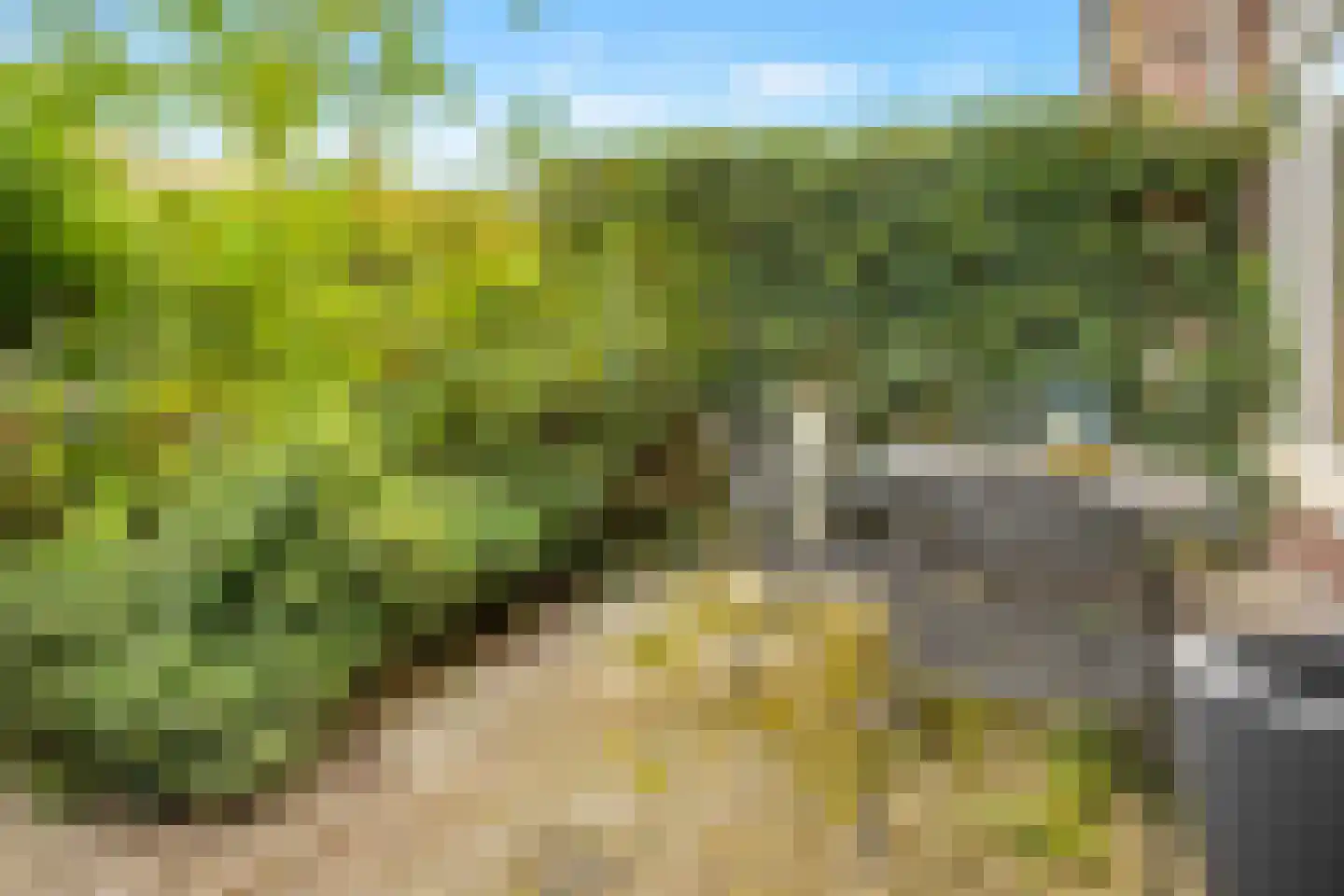 Heezerweg 275 Eindhoven thumbnail 36