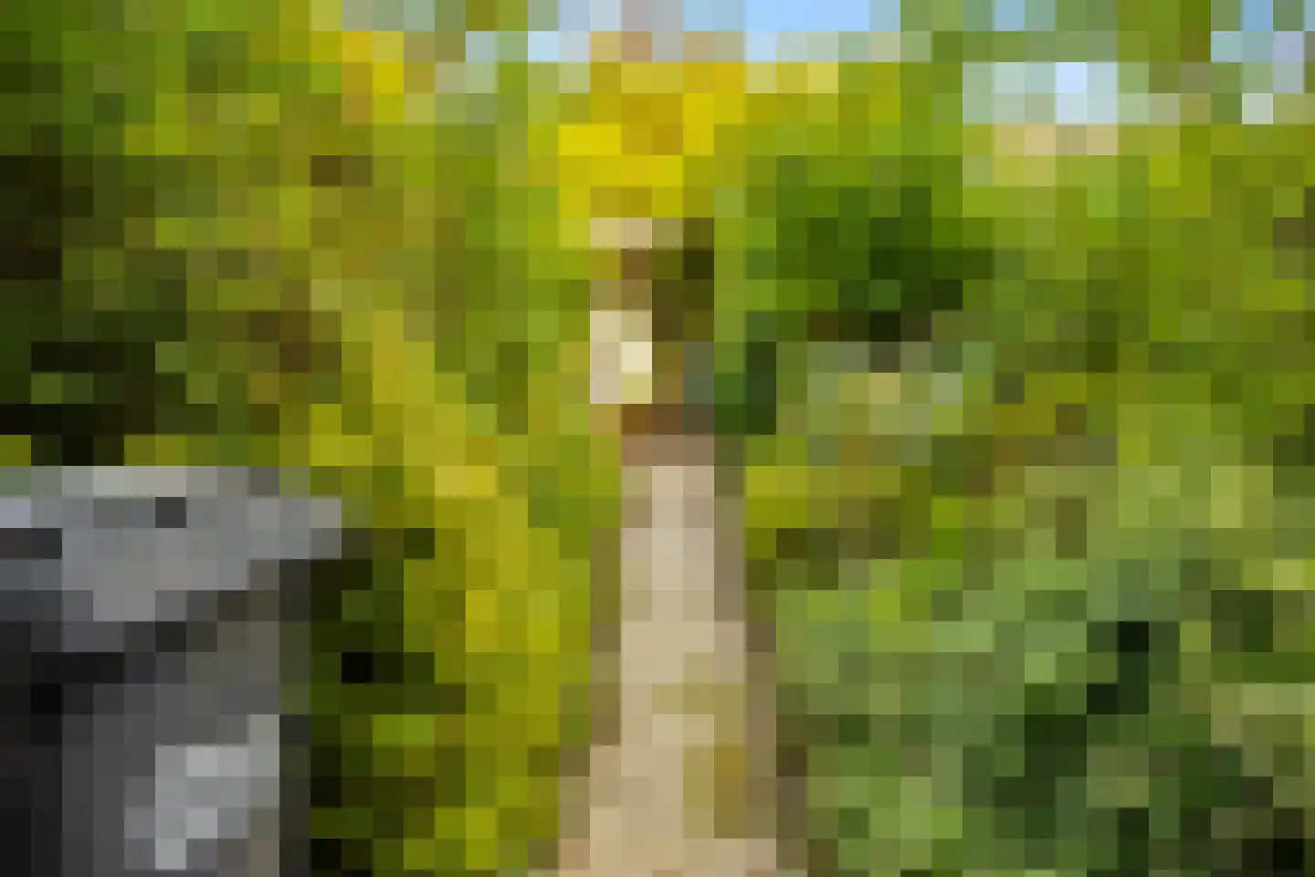 Heezerweg 275 Eindhoven thumbnail 37