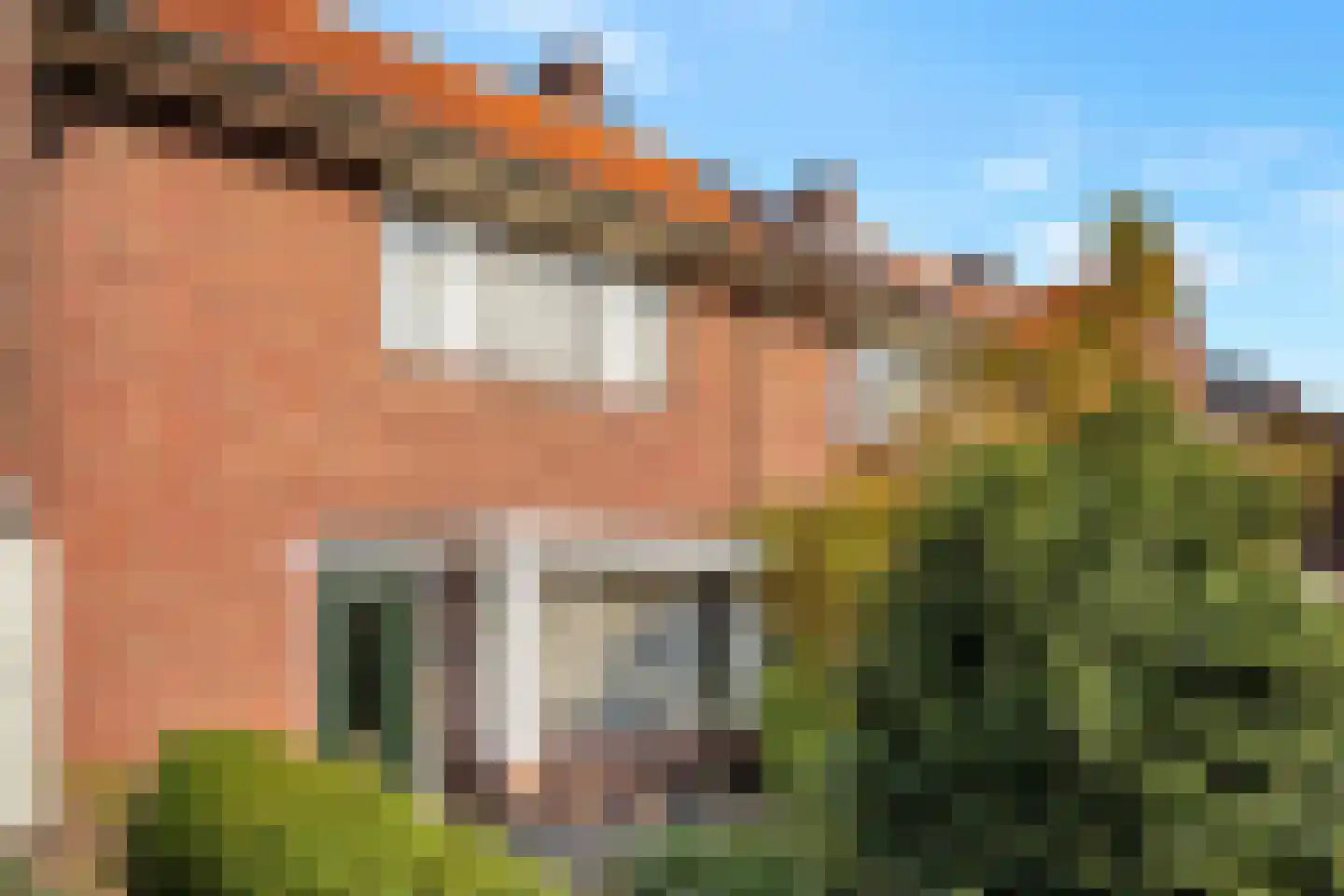 Heezerweg 275 Eindhoven thumbnail 38