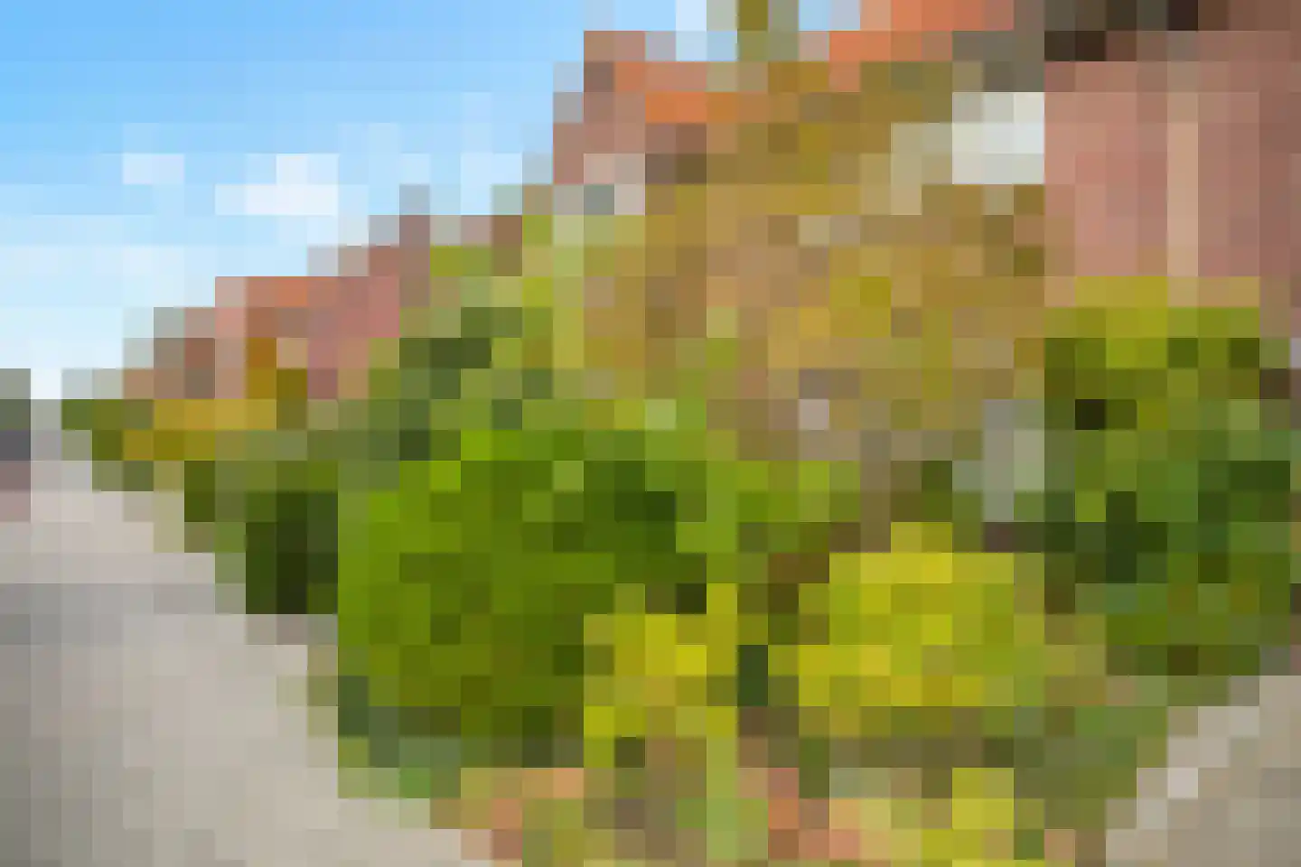 Heezerweg 275 Eindhoven thumbnail 39