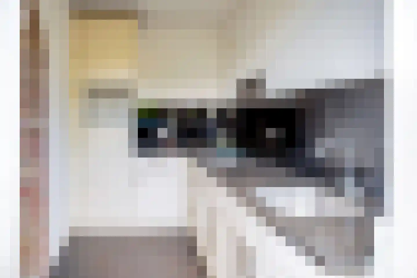 Heezerweg 275 Eindhoven thumbnail 7