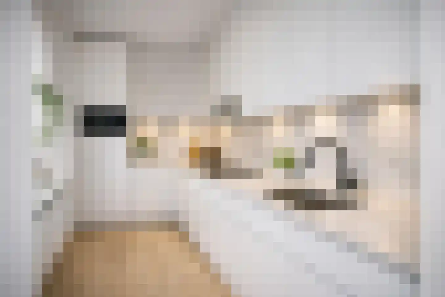 Heezerweg 275 Eindhoven thumbnail 9