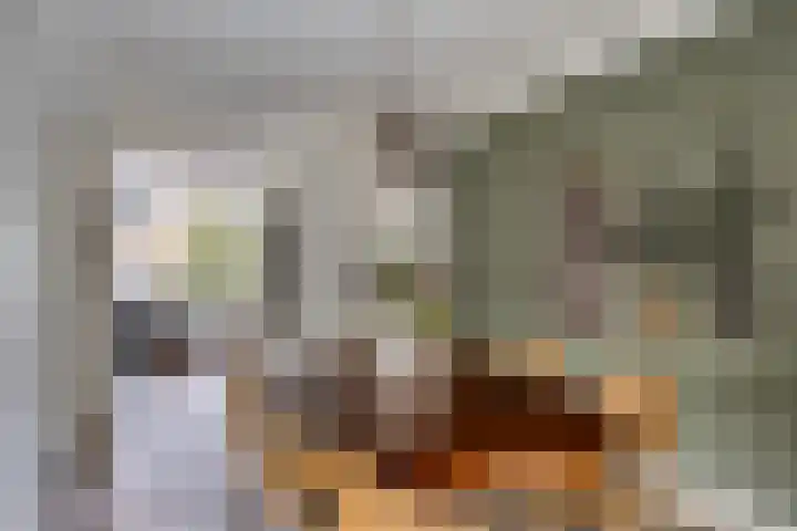 Heezerweg 278 A Eindhoven thumbnail 18