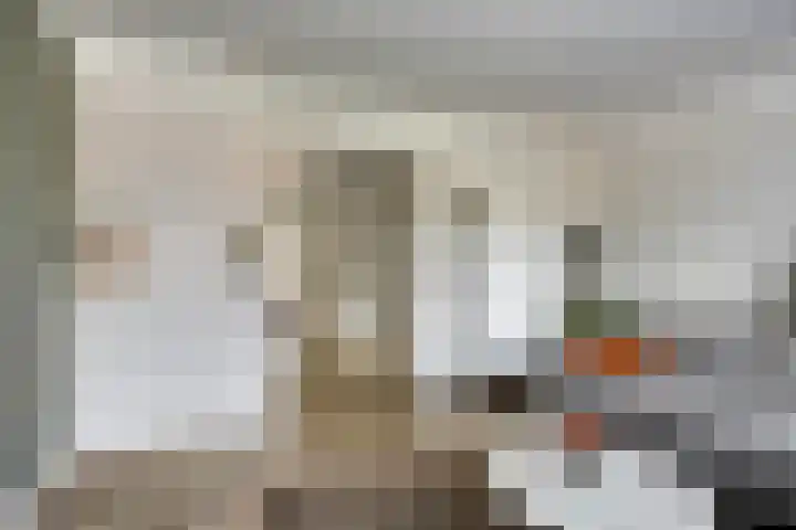 Heezerweg 278 A Eindhoven thumbnail 20