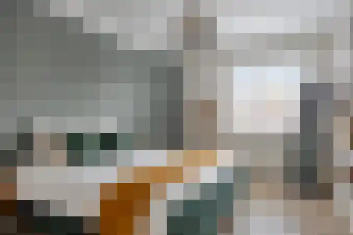 Heezerweg 278 A Eindhoven thumbnail 4