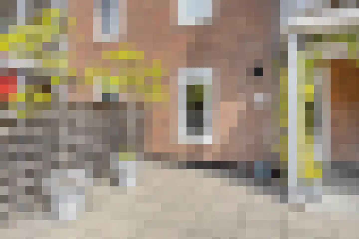 Heezerweg 284 A Eindhoven thumbnail 19
