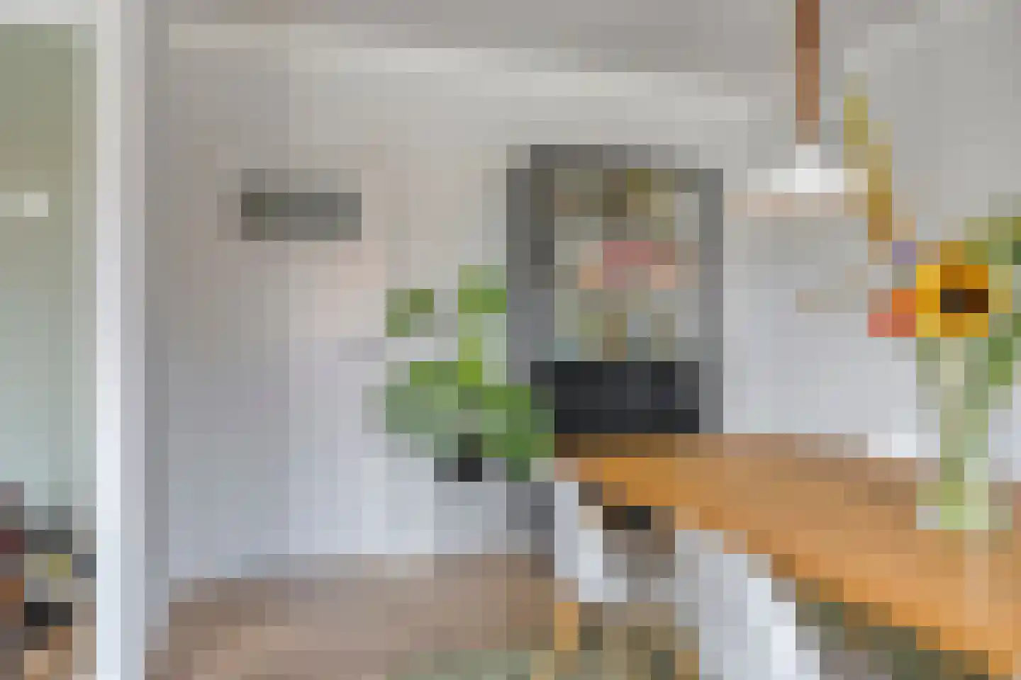 Heezerweg 284 A Eindhoven thumbnail 5