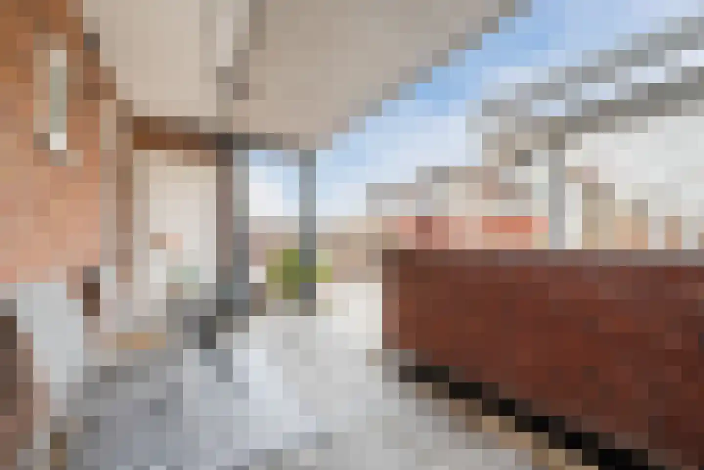 Heezerweg 296 Eindhoven thumbnail 25