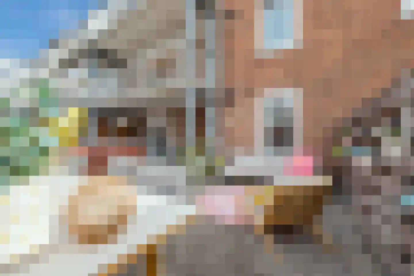 Heezerweg 296 Eindhoven thumbnail 28