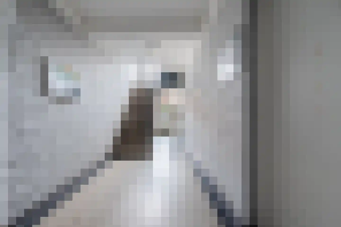 Heezerweg 296 Eindhoven thumbnail 6