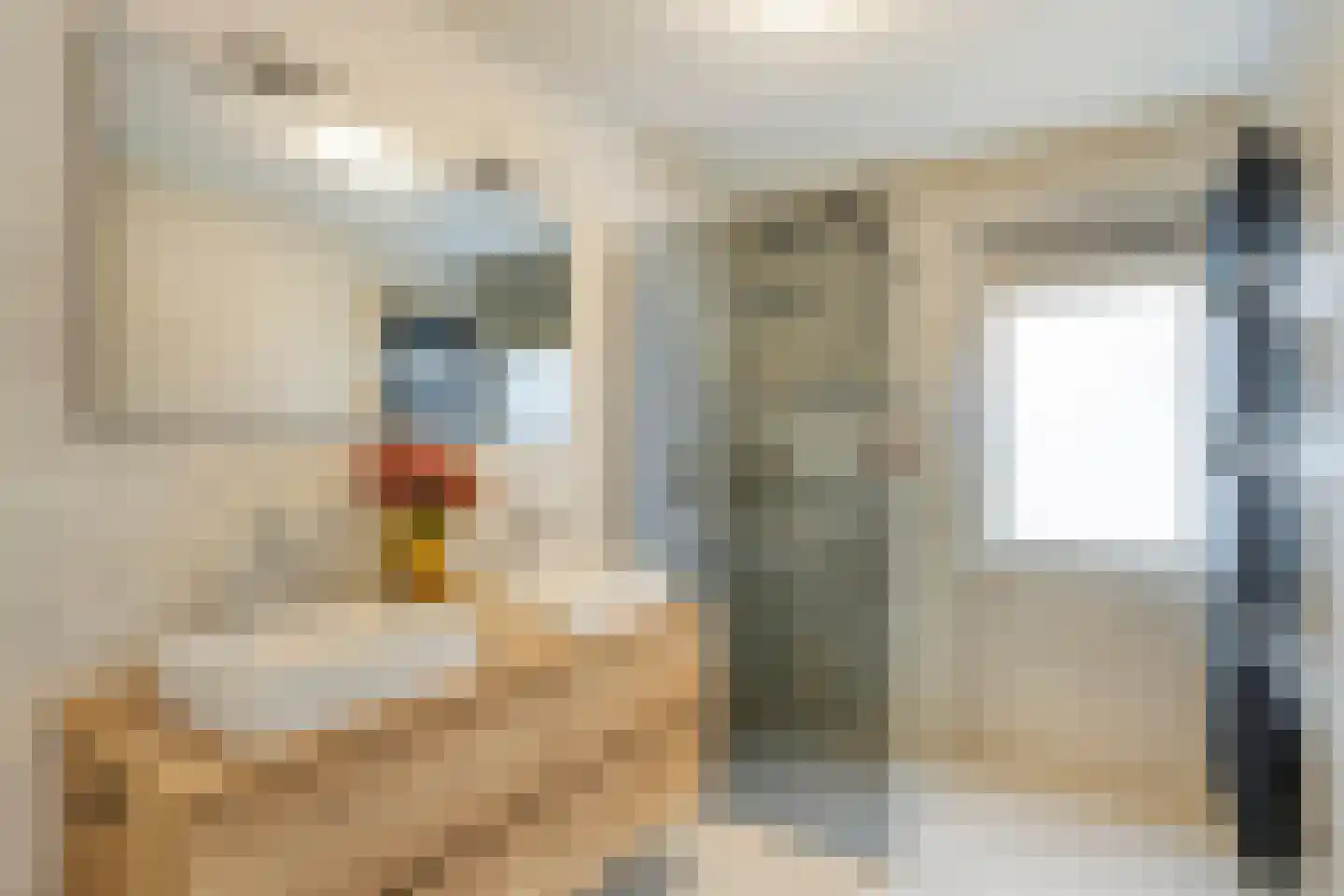 Heezerweg 299 Eindhoven thumbnail 39