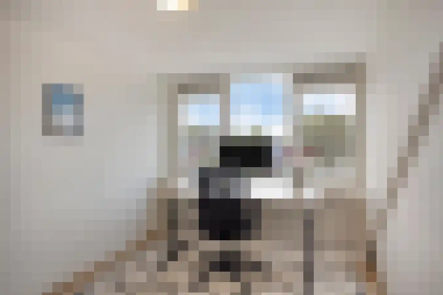 Heezerweg 299 Eindhoven thumbnail 50