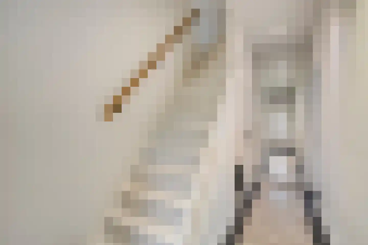Heezerweg 299 Eindhoven thumbnail 7
