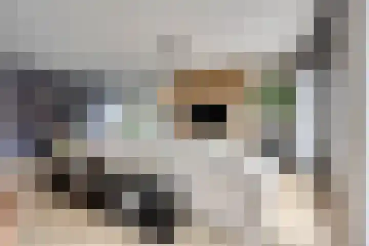 Heezerweg 321 F Eindhoven thumbnail 11