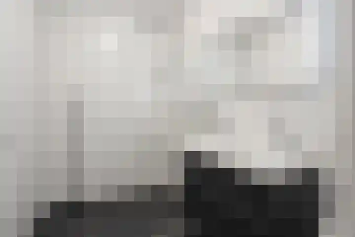 Heezerweg 321 F Eindhoven thumbnail 24