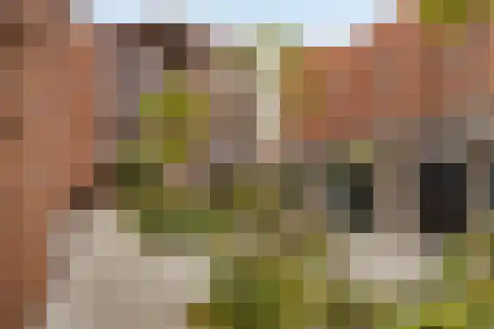 Heezerweg 321 F Eindhoven thumbnail 32