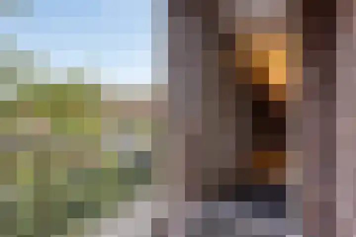 Heezerweg 321 F Eindhoven thumbnail 6
