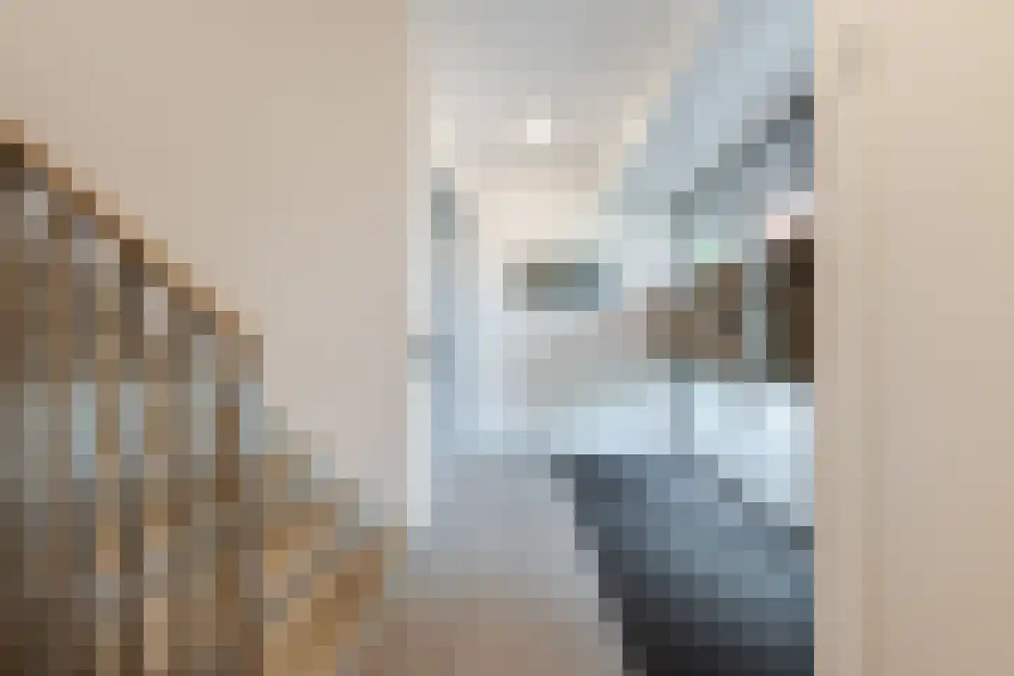 Heezerweg 323 A Eindhoven thumbnail 11