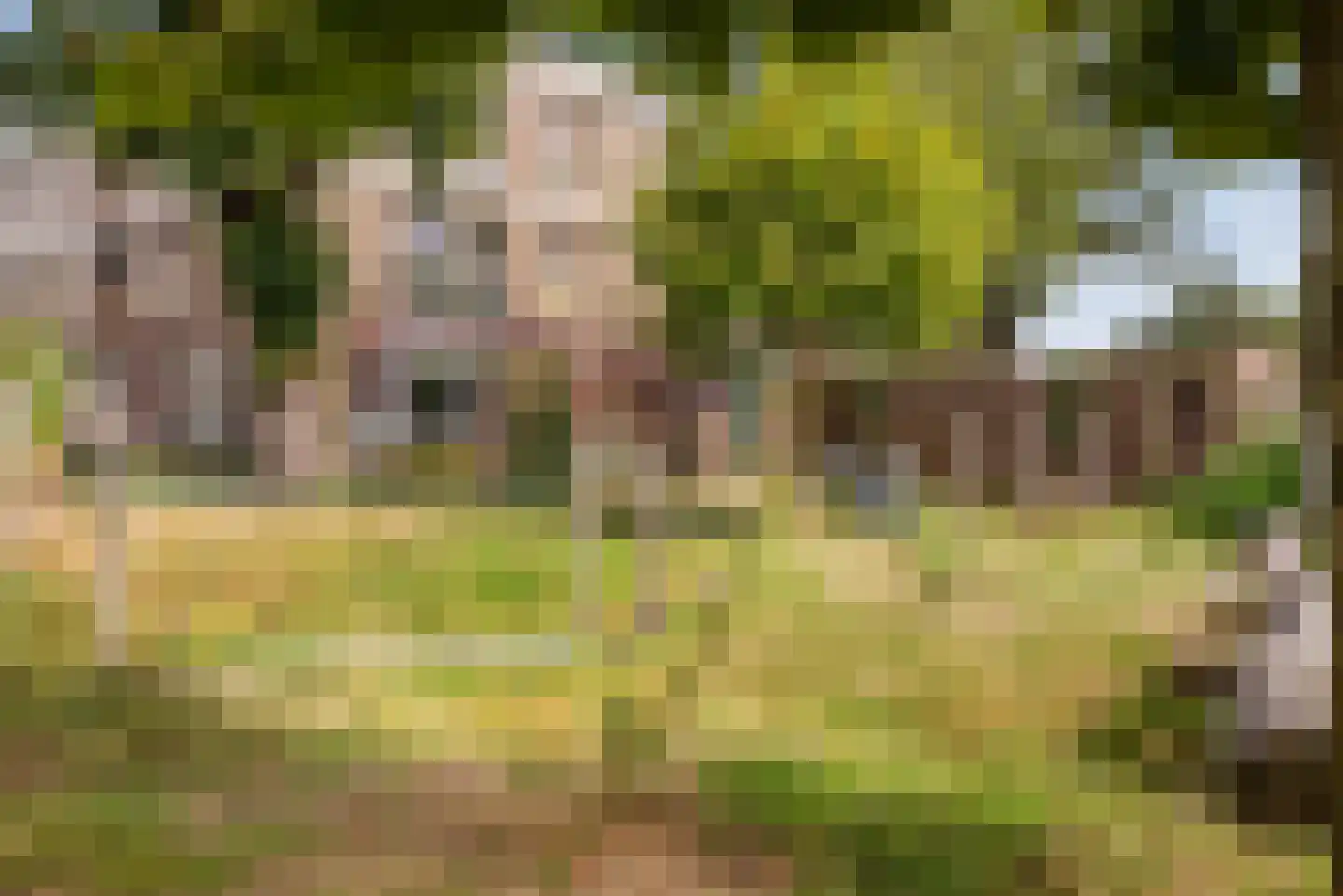 Heezerweg 323 A Eindhoven thumbnail 46