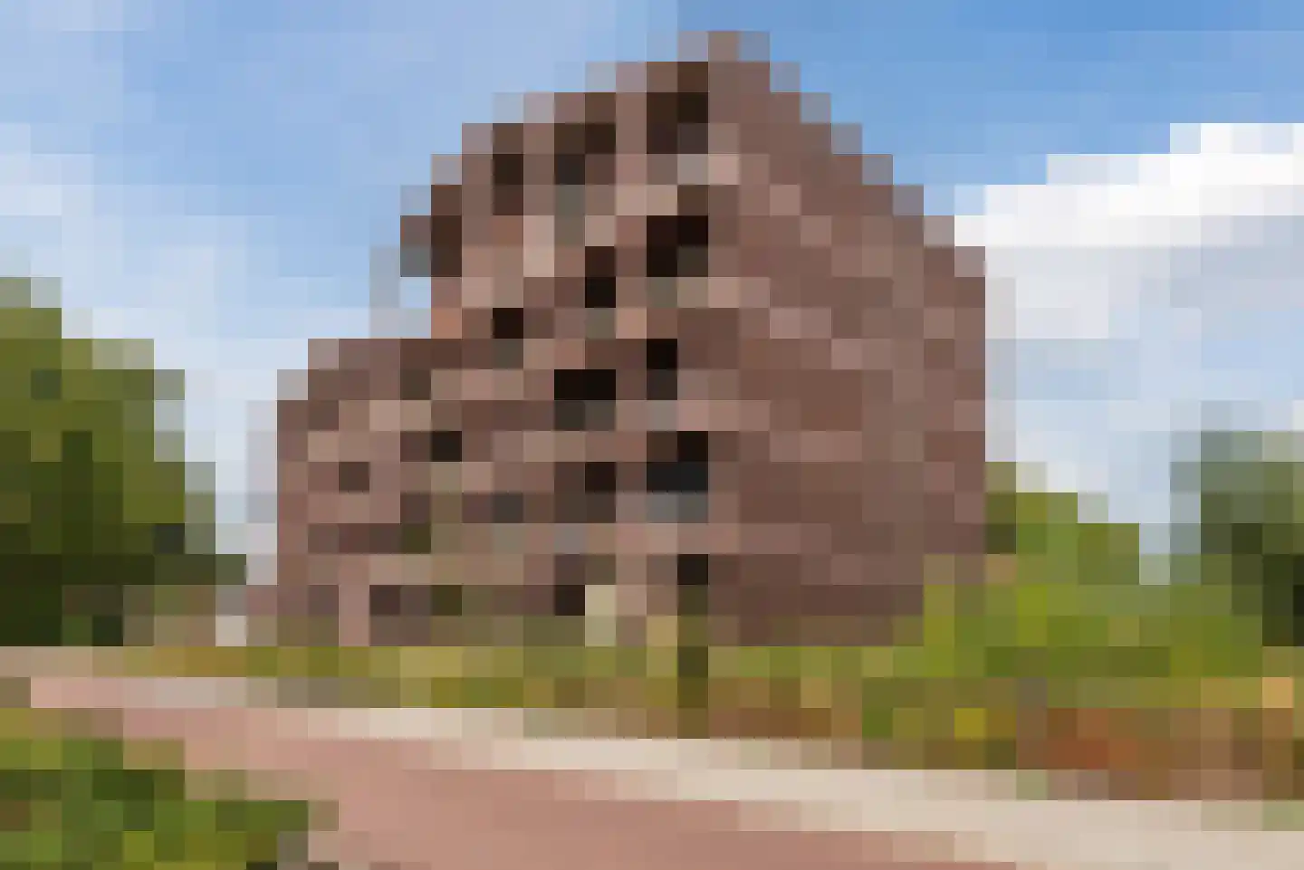 Heezerweg 323 A Eindhoven thumbnail 7