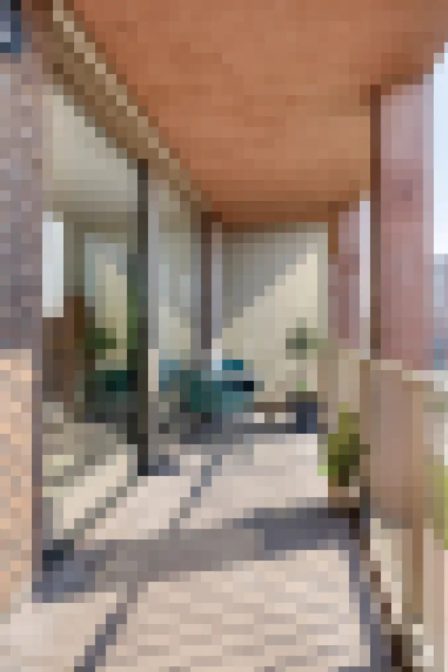 Heezerweg 323 B Eindhoven thumbnail 30