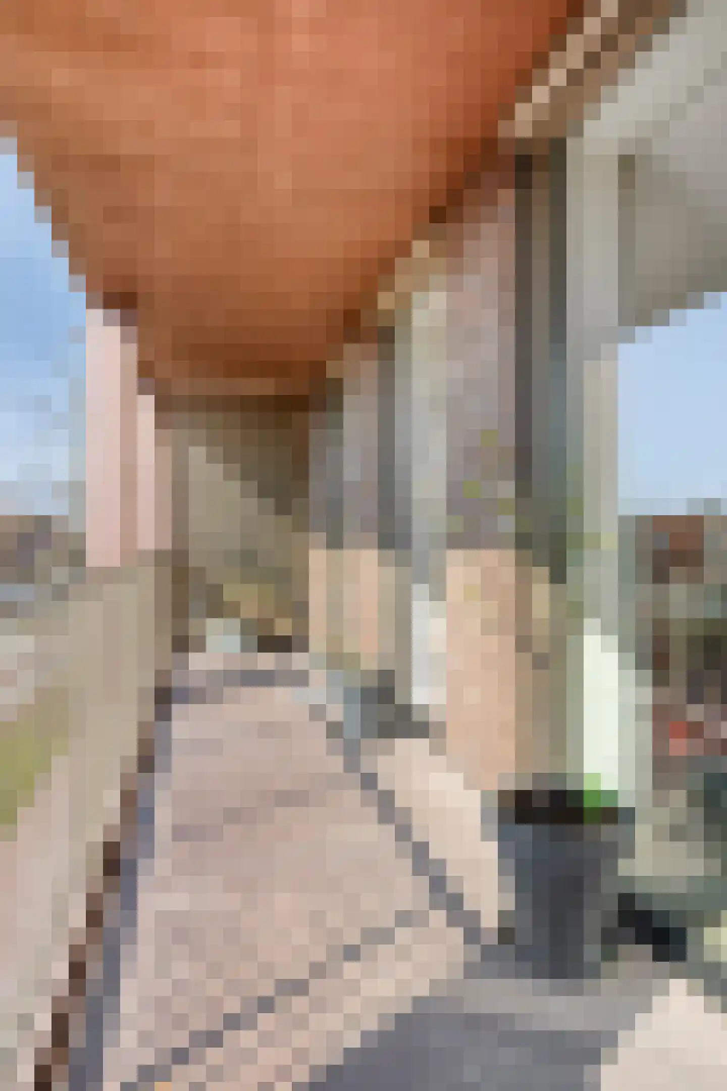 Heezerweg 323 B Eindhoven thumbnail 32