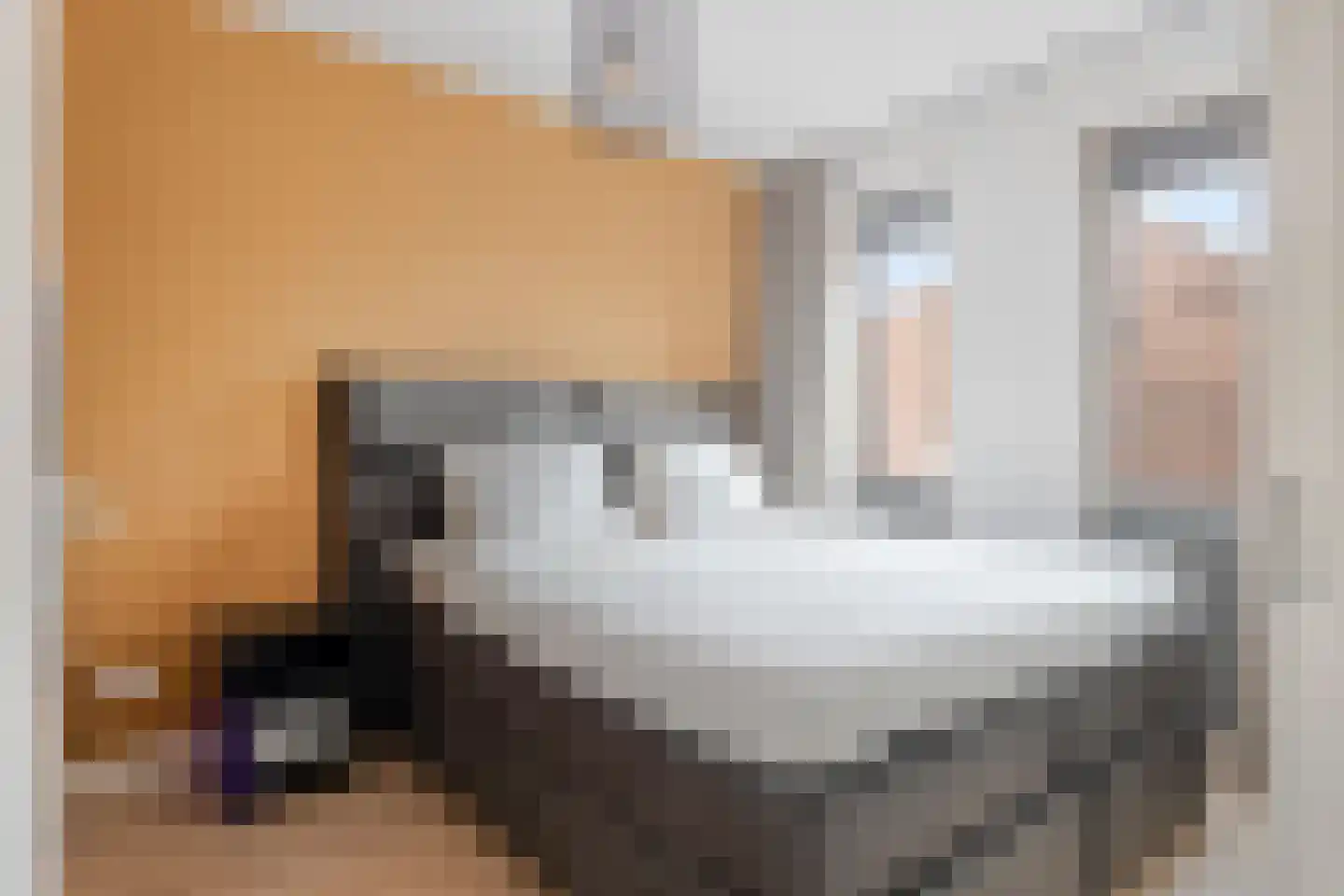 Heezerweg 323 Eindhoven thumbnail 15
