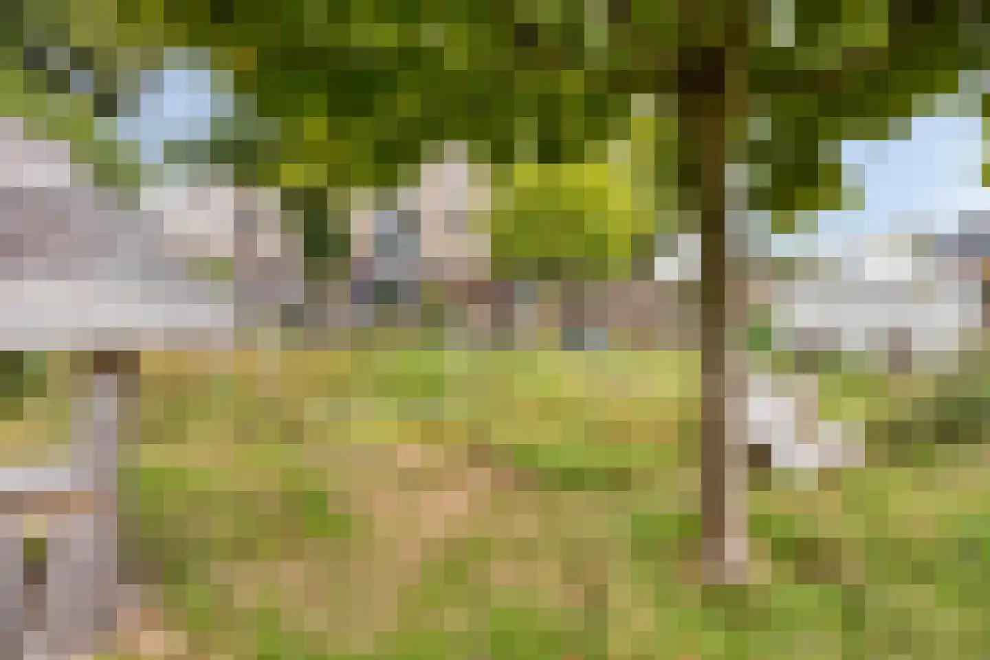 Heezerweg 323 Eindhoven thumbnail 24