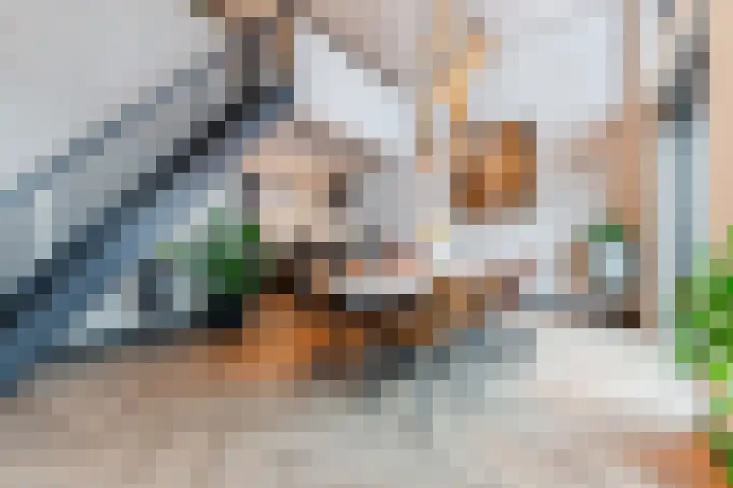 Heezerweg 325 D Eindhoven thumbnail 16