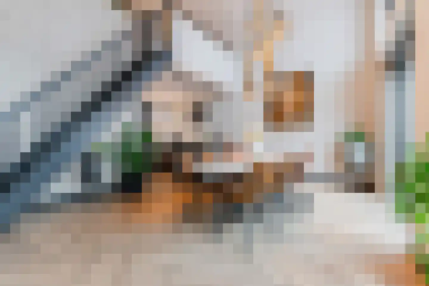 Heezerweg 325 D Eindhoven thumbnail 16