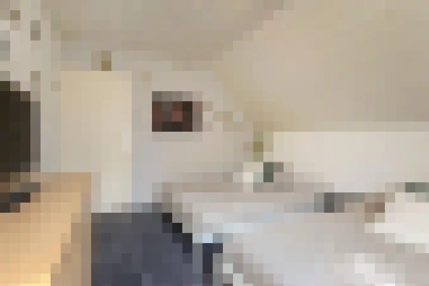 Heezerweg 4 Sterksel thumbnail 15